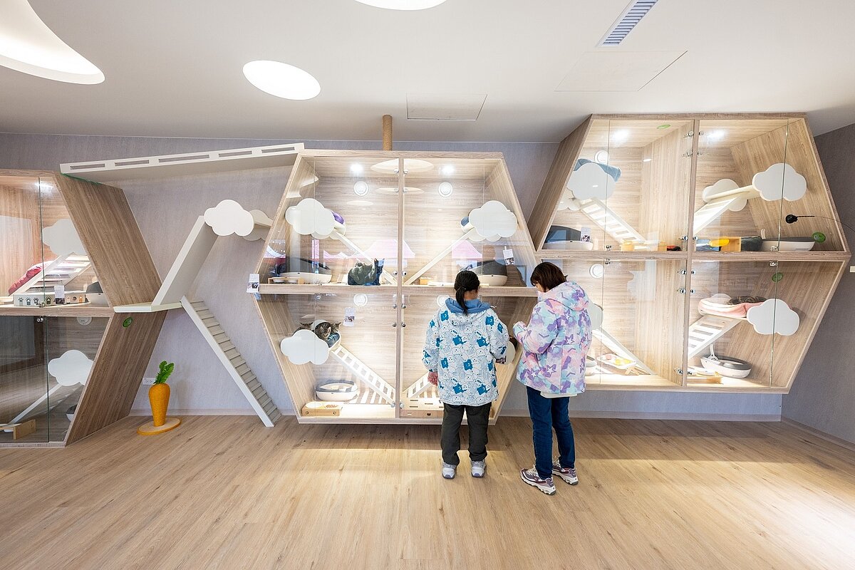 首座綜合型動保教育園區在桃園,結合流浪動物認養、醫療照護服務。圖/桃園市政府提供