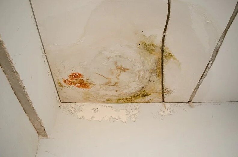 信義房屋汐止明峰店專案經理黃仁暉指出,漏水是引發購屋糾紛大宗,除了看牆面也要留意天花板狀況,檢查才更全面。圖/信義房屋提供