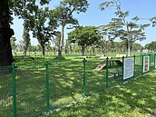 毛小孩也瘋狂　岡山又有寵物公園即將完工