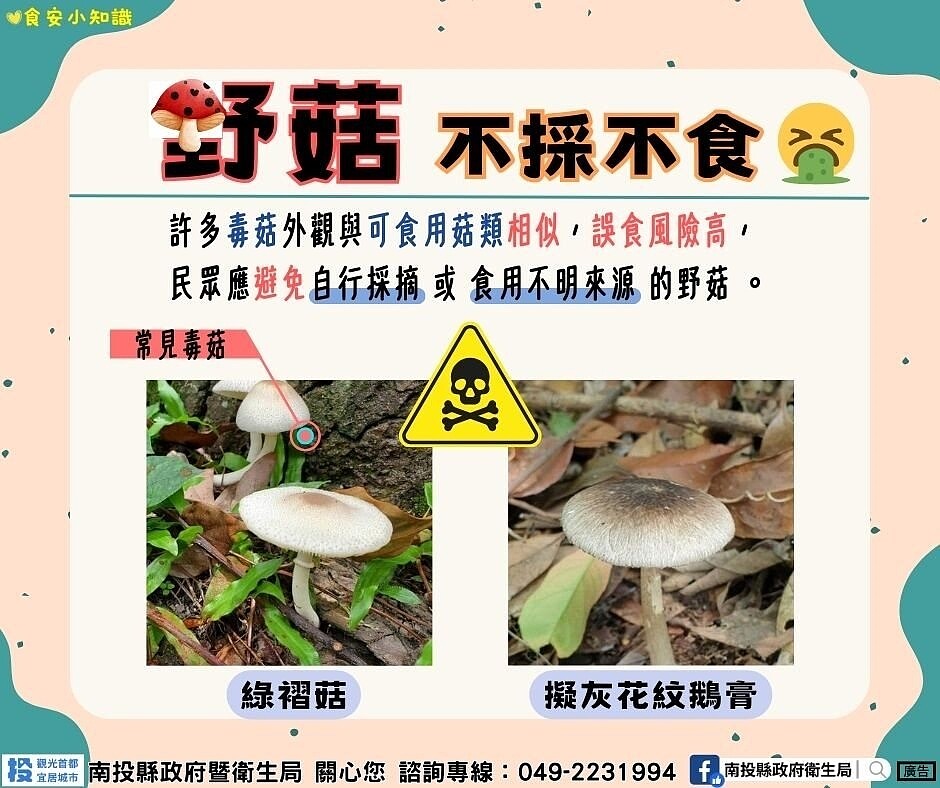 看到雨後不明野菇冒生，切勿以為是地上長出來的「禮物」，應堅持「不採不食」的觀念。圖／南投縣衛生局提供