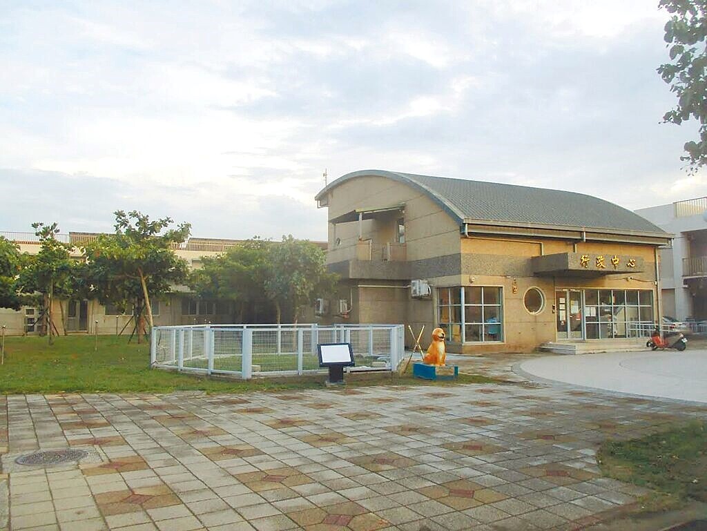 桃園市審計處指出,桃園市遊蕩犬自2018年9686隻增加至2022年1萬5996隻。圖/桃園市動保處提供