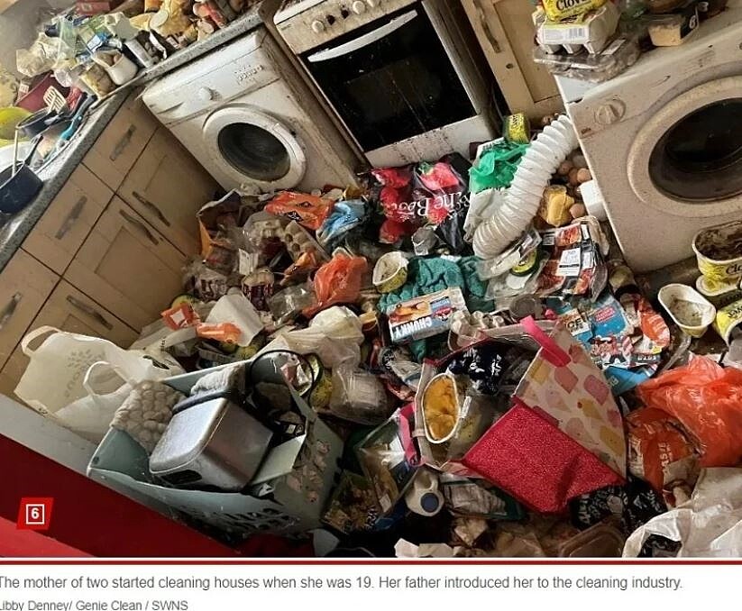 莉比靠著打掃囤積屋月入近120萬台幣。圖擷自紐約郵報