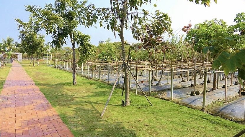 路竹頂新社區園藝行撫育苗木,免費提供社區及市民申領,提升城市綠覆率。圖/高雄市都發局提供