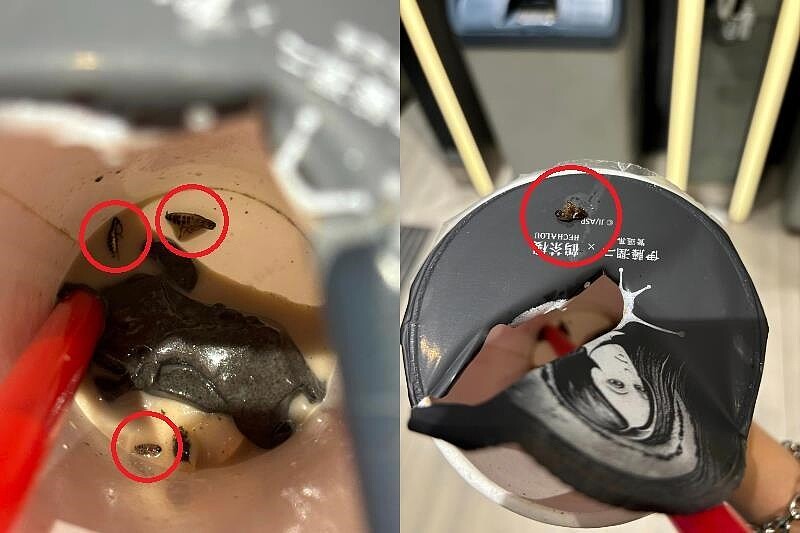 網友於爆料公社發文,在鶴茶樓飲品中發現蟑螂。圖/擷取自爆料公社二社