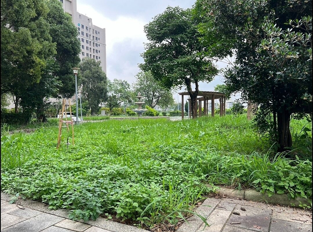 桃園市龍潭區旭日公園是丁種建築用地變更乙種用地的產物，產權雖屬市府，但管養權責與費用由社區負責，由於社區不願維護，過去曾雜草叢生。圖／桃園市議員徐玉樹提供