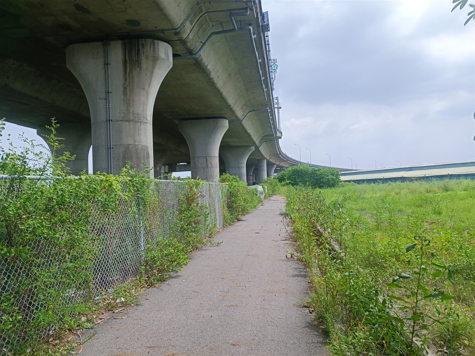 台南台84線麻豆至下營間屬西寮遺址敏感地帶，公路局擬採填高、不下挖方式開闢道路。記者謝進盛／攝影 