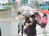 天兔颱風吹強風　基隆路樹倒電線垂