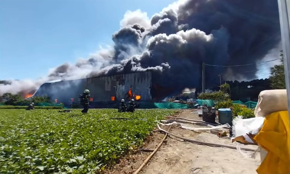 台北市士林區社子島一處工廠今午傳出火警，警消獲報到場撲救。記者李隆揆／翻攝