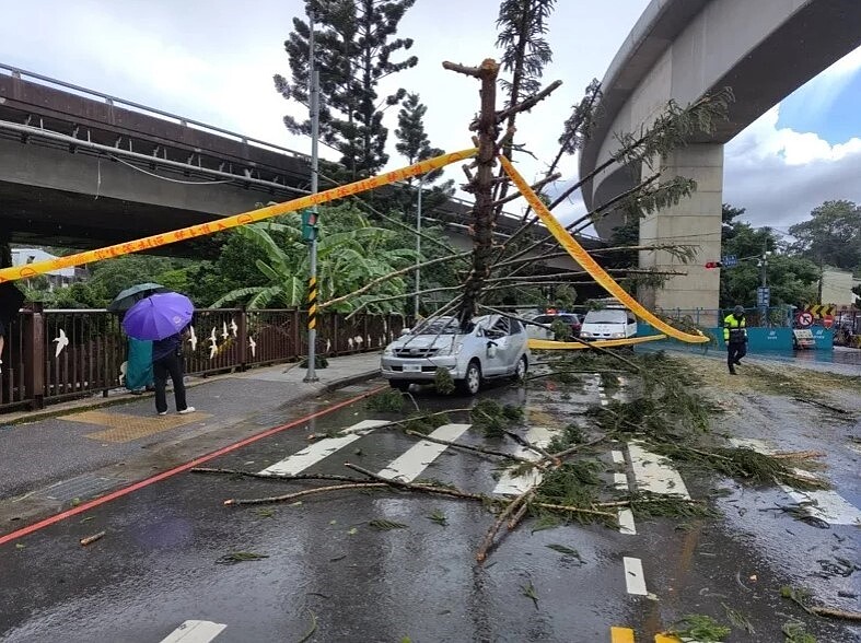 張姓男子7日中午開車行經新北市土城區中央路，因午後大雷雨，疑似雷擊樹倒砸中汽車，造成張男及同車彭女2人受傷送醫，所幸2人均輕傷。圖／記者王長鼎翻攝