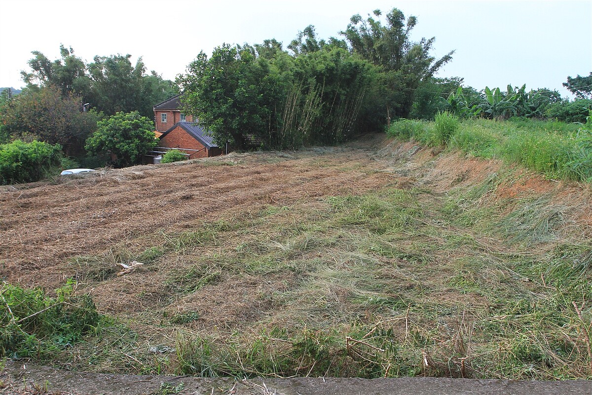 早期農地只開放自耕農購買，因此經常出現借名情形。記者黃羿馨／攝影 