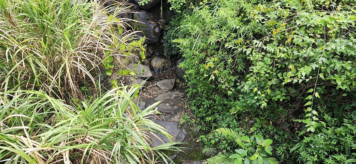 瑞芳區弓橋半嶺路上游溪流經常乾枯,導致即使裝設簡易自來水系統居民仍無水可用。圖/弓橋里長朱靜琪提供