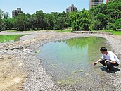 建校基地有「馬明潭」遺跡　學者籲搶救