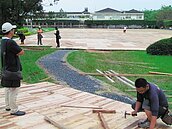 草坪鋪棧板　中興新村親情公園綠意盡失