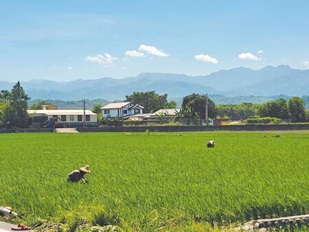 《國土計畫法》爭議不斷,地方政府近期頻頻呼籲暫緩實施。圖為雲林縣農地。(本報資料照片)