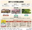 台東3死中毒案　奪命「阿粨」檢出劇毒農藥托福松