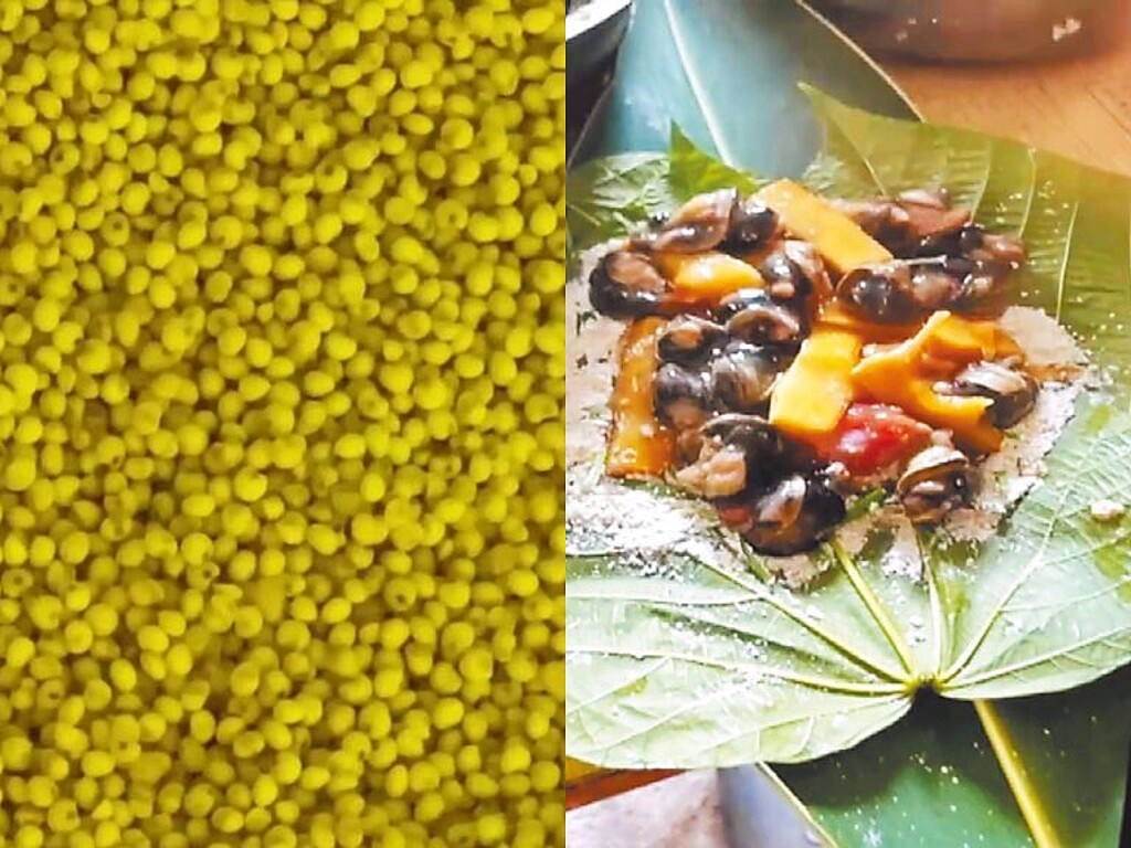 台東蝸牛小米粽中毒案,造成12人送醫、3人死亡。右圖/讀者提供、左圖/蔡旻妤攝