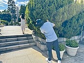 同婚合法化　男男騷擾案增14％