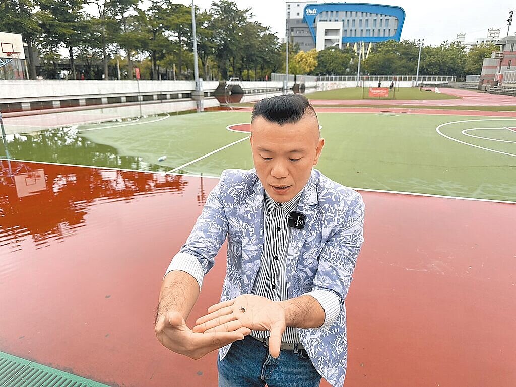 台中市連日午後下起大雨，大里運動公園的田徑場積水竟積出「小水池」，台中市議員江和樹21日前往察看，發現能撈出蝌蚪和青蛙，大酸「生態保育做很好」。圖／台中市議員江和樹提供
