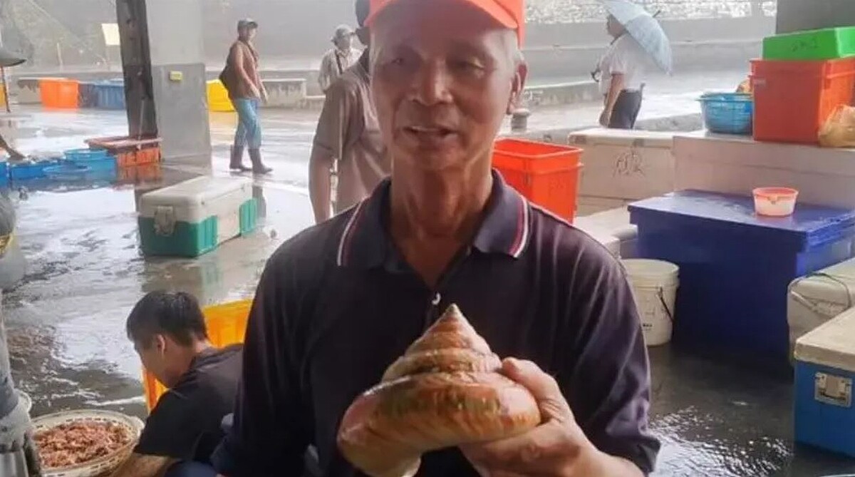 林姓漁民在龜山島外海撈到極稀有的活化石「龍宮貝」,活體寬約20公分,外形完整且珍貴,有人出價到16萬元,但他最後選擇12萬元的神秘買家,這位買家是為了放生。圖/漁民提供