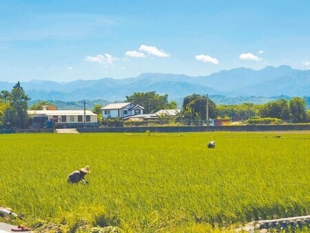 
政府有必要調整對待農民方式，透過科技協助讓農民能自力更生，不再處處依賴政府補助過活。圖∕本報資料照片
