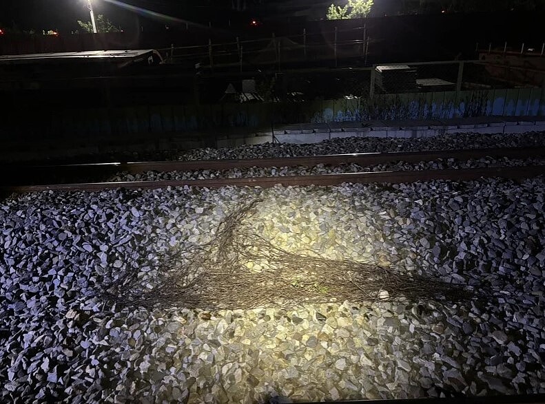 台鐵嘉義工務段派員巡視,現場只有一堆枯枝。圖/台鐵提供