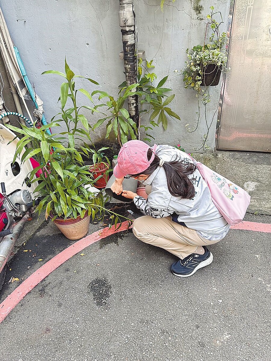 新北市本土登革熱疫情擴大，衛生局提醒，受「山陀兒」颱風影響，降雨機會高，為避免積水容器孳生病媒蚊，請民眾於颱風後務必清理家戶內外積水容器。（新北市衛生局提供／陳慰慈新北傳真）
