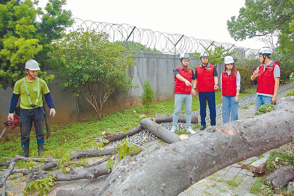 新竹市2日一早最大陣風達10級,成功路一帶路樹倒塌,所幸無人受傷,狀況也迅速排除,代理市長邱臣遠2日一早前往勘災。(新竹市政府提供/王惠慧新竹傳真)
