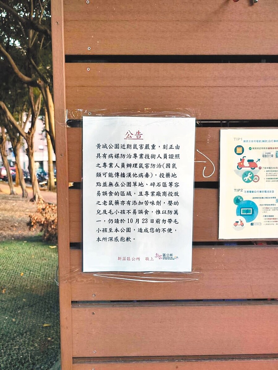 區公所並未提前設立告示，通知民眾黃城公園內有投放老鼠藥的情況，經議員反映後才緊急設置。（新北市議員翁震州提供／呂健豪新北傳真）