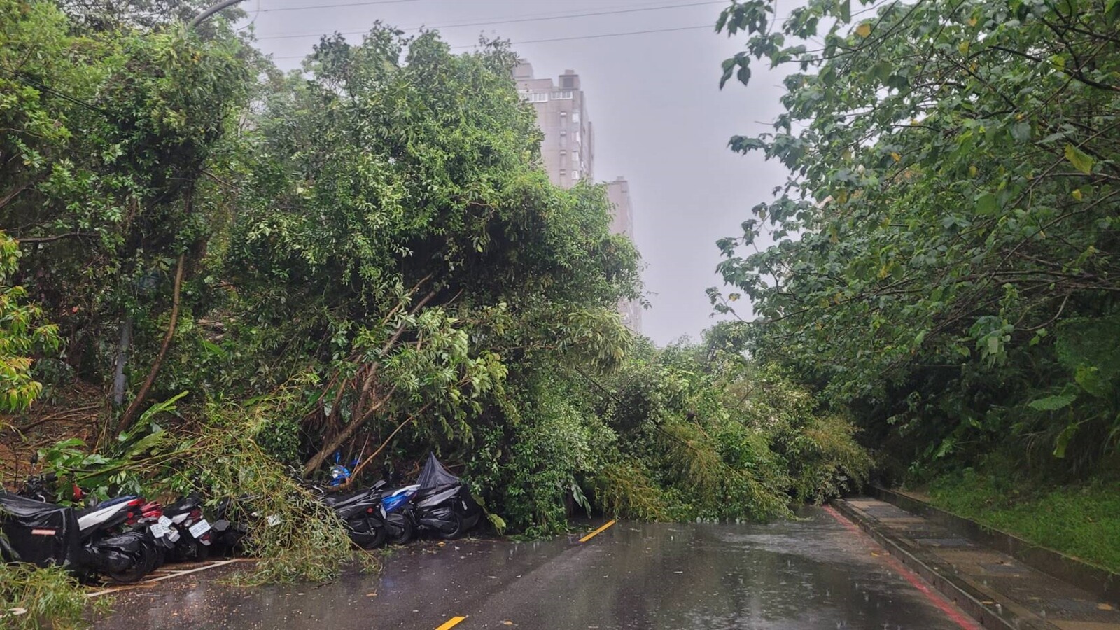 基隆新豐街山坡大面積土石崩疑走山，交通中斷公車改道。記者游明煌／攝影 