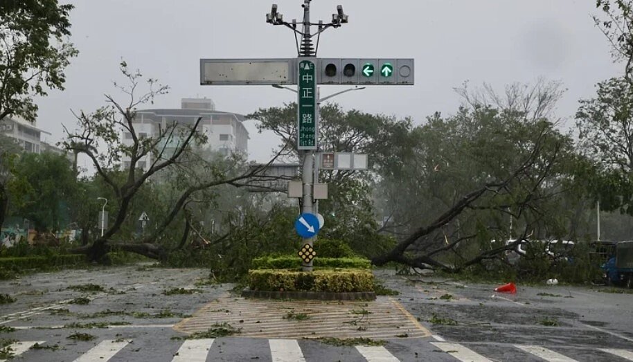 山陀兒颱風3日在高雄小港登陸,破壞力驚人。圖為高雄市中正一路道路兩旁的行道樹成排傾倒,將雙向車四個道徹底「中斷」。圖/記者黃義書攝影