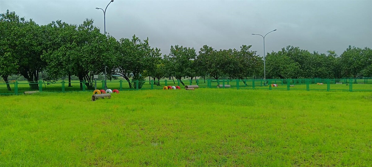 浮洲寵物公園全新升級更大空間，讓毛孩可以自由奔跑。圖／新北市府提供