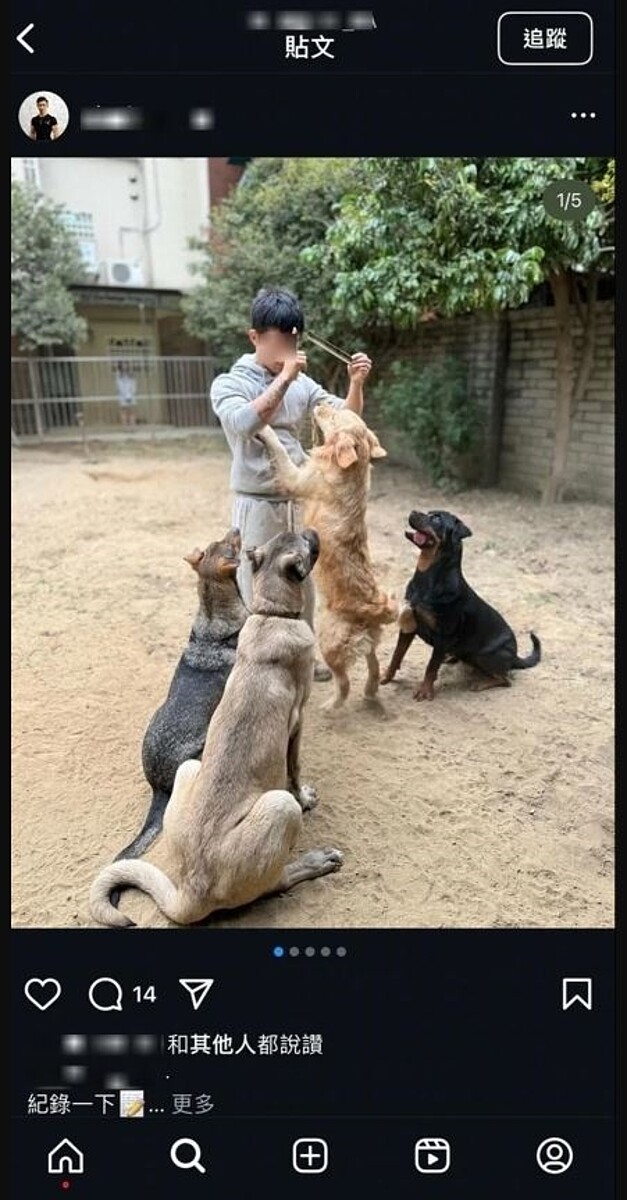 葉姓健身教練平時飼養大型犬，社群上滿滿愛狗畫面及留言，卻涉嫌凌虐小姊弟。圖／翻攝自IG
