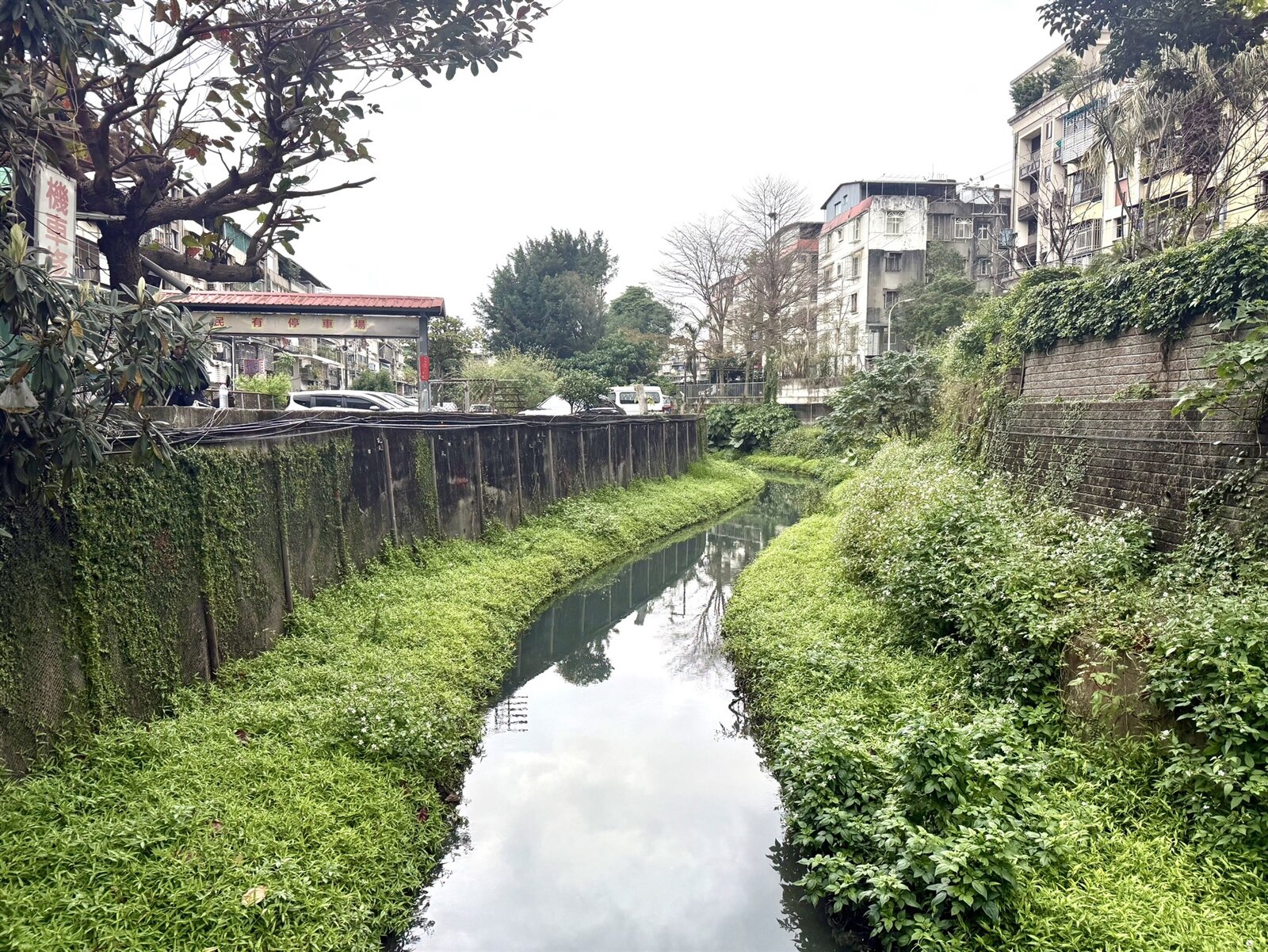 整治完成的瓦磘溝生機盎然,生態復甦讓周邊環境更清新。記者張策/攝影