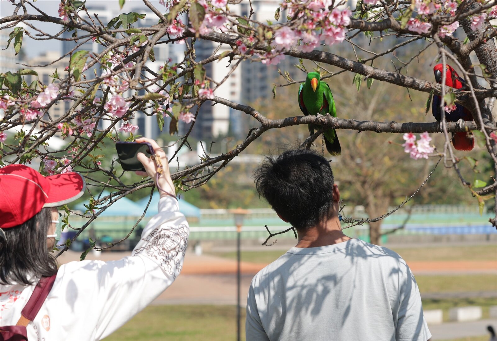 今天白天起大陸冷氣團漸減弱,氣溫小幅回升;明天氣溫續回升,略回暖,各地晴時多雲。本報資料照片