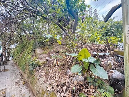 新北土城區土地公山遺址2007年被登錄為市定考古遺址,範圍約1萬坪,計畫建成公園已久,不過多年來未有具體規畫,土地雜草叢生。(柯毓庭攝)