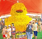 黃色小鴨在台中？文心蘭排成