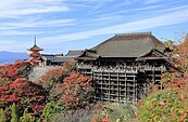 勸阻違停遭恐嚇！京都百年古寺住持憤怒：無法與外國遊客共存