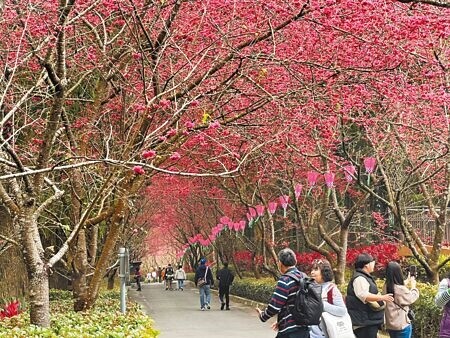 
觀光逆差讓台灣觀光收益去年度短少約7000億元，疫後境外遊客來台人次不如預期，大日月潭地區去年旅遊人次跌破450萬，令南投縣觀光業者相當憂心。（楊靜茹攝）
