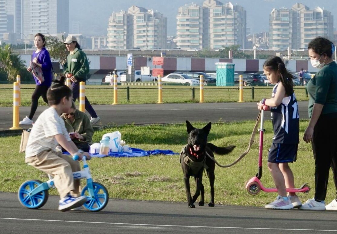 今白天回暖,228連假恐暖如夏。本報系資料照片