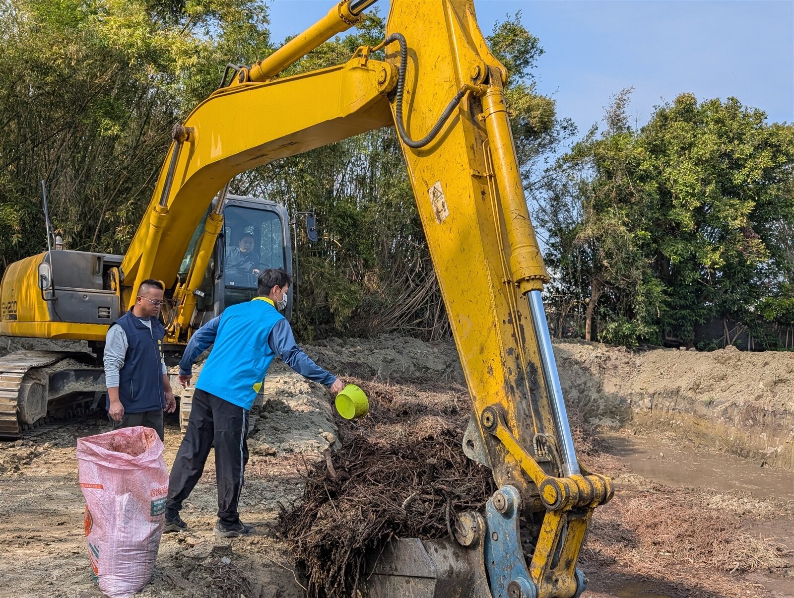 台中區農業改良場、彰化縣政府、大村鄉公所破碎葡萄藤枯枝後,灑木質分解菌幫助腐化分解。記者簡慧珍/攝影