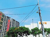 三峽北大特區　天空蜘蛛網高掛