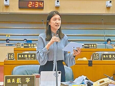 無黨籍嘉義市議員戴寧詐領助理補助費案,由於她在二審認罪並繳回不法所得,台南高分院26日減輕改判5年6月,褫奪公權4年。(本報資料照片)