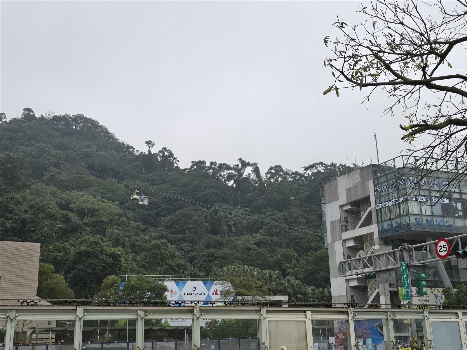 貓纜將於3月3日調漲票價。記者邱書昱/攝影