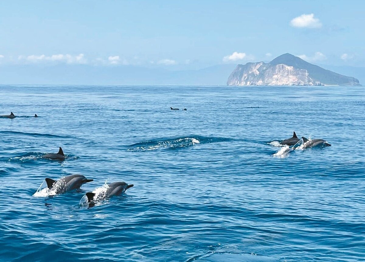 龜山島今天起開放,周邊海域也是賞鯨豚的熱門海域。圖/東北角管理處提供