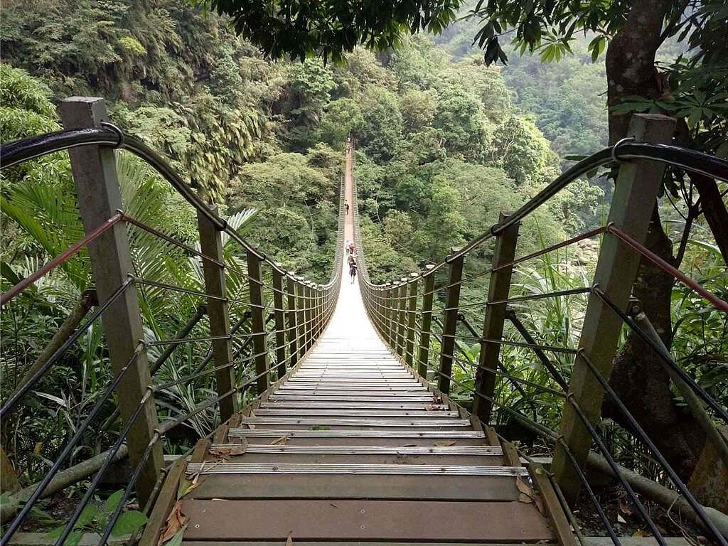 南投縣竹山天梯園區設施3月3日起將施工休園。圖/南投縣政府提供