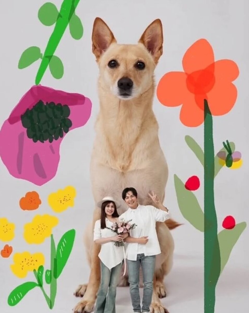 孫協志(右)和夏宇童宣布結婚。圖/摘自臉書