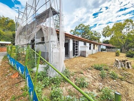 
國發會整修中興新村宿舍並修剪樹木，遭當地居民指控砍除庭園大樹，有些只剩下樹頭。國發會坦言，確實有幾棵樹修過頭，已請包商未來修樹要先知會。（楊靜茹攝）
