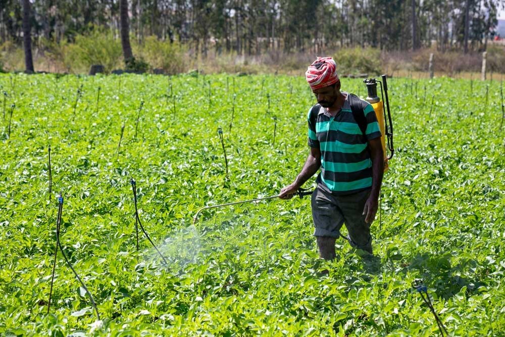 美國總統川普祭出驅趕移民政策,蝴蝶效應之下恐怕間接加速台灣通膨。圖/pexels
