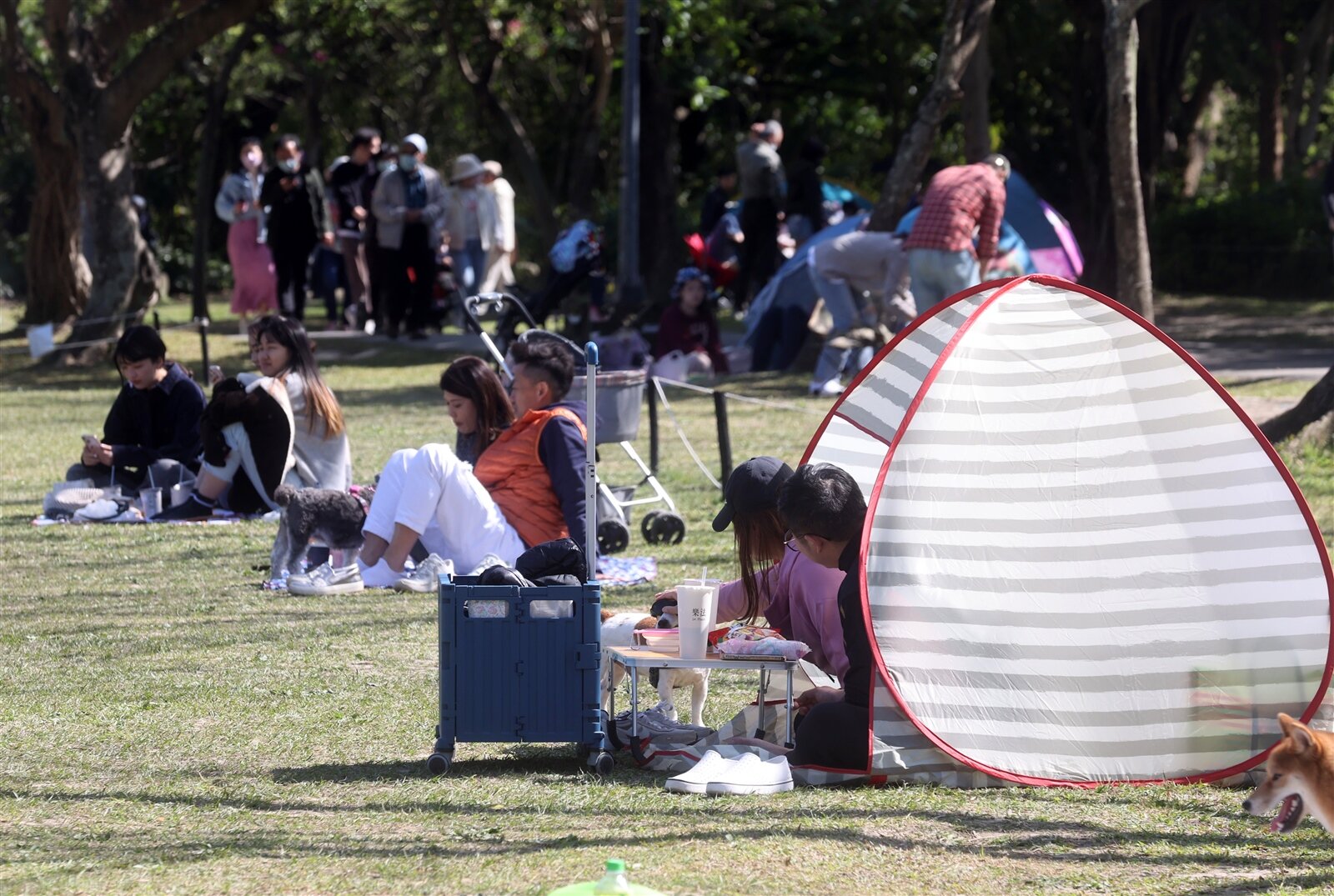 北市觀傳局3月15日在大安森林公園舉辦「台北花伴野餐」活動。今年以「三代同堂」及「環保永續」為主軸，有五大主題野餐區。本報資料照片 