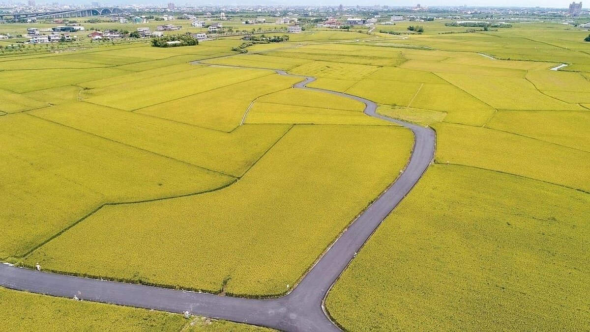 財政部台北國稅局表示,被繼承人遺產中作農業使用的農業用地,經核定免徵遺產稅者,土地自被繼承人死亡日起五年內,承受的繼承人或受遺贈人,必須繼續作農業使用。聯合報系資料照